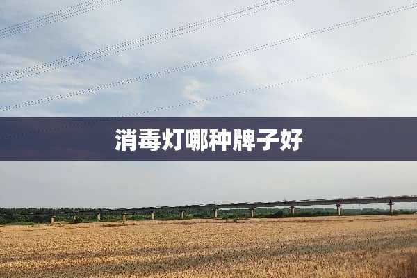 消毒灯哪种牌子好