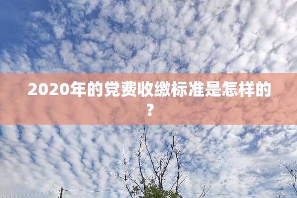 2020年的*费收缴标准是怎样的？