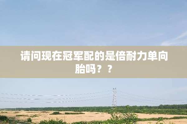 请问现在冠军配的是倍耐力单向胎吗？？