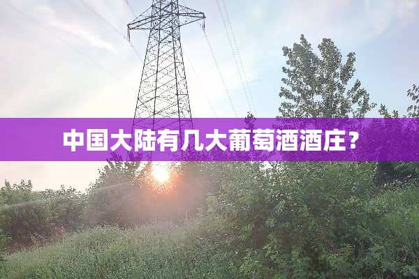 中国**有几大葡萄酒酒庄？
