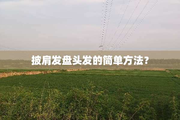 披肩发盘头发的简单方法？