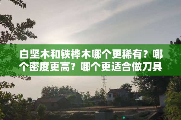 白坚木和铁桦木哪个更稀有？哪个密度更高？哪个更适合做**？