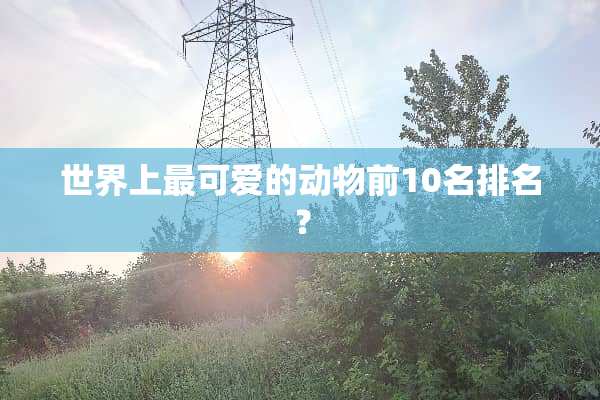 世界上最可爱的动物前10名排名？