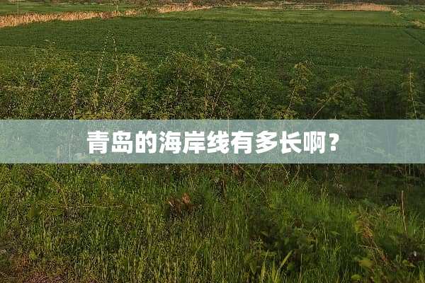 青岛的海岸线有多长啊？
