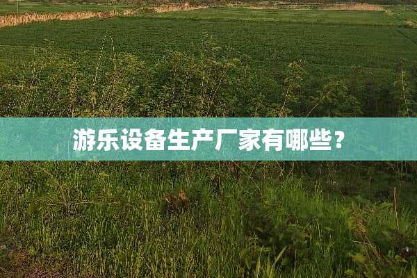 游乐设备生产厂家有哪些？