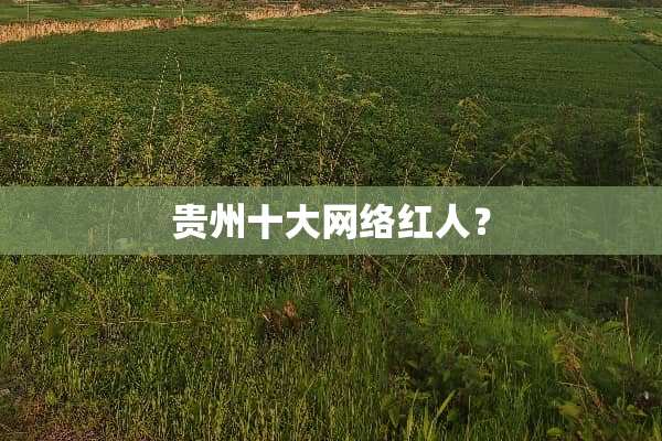 贵州十大网络红人？