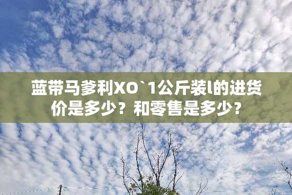 蓝带马爹利XO`1公斤装l的进货价是多少？和零售是多少？