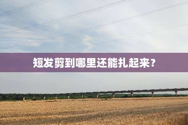 短发剪到哪里还能扎起来？