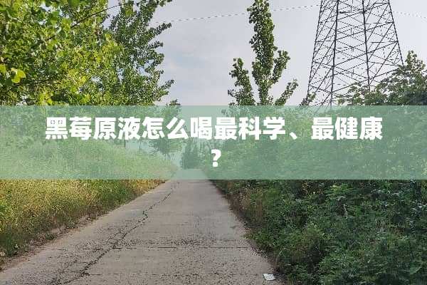 黑莓原液怎么喝最科学、最健康？