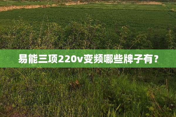 易能三项220v变频哪些牌子有？