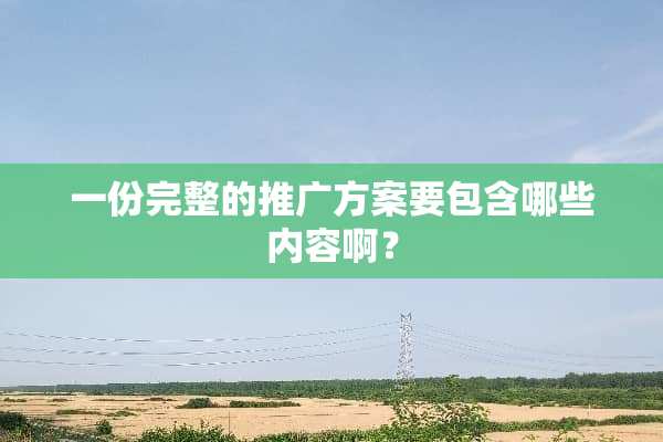 一份完整的推广方案要包含哪些内容啊？