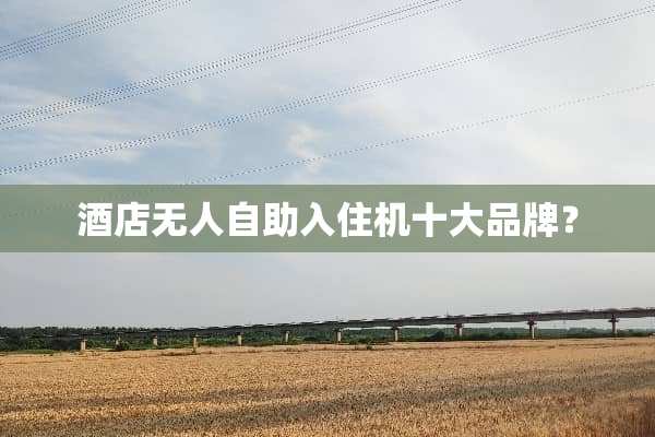 酒店无人自助入住机十大品牌？