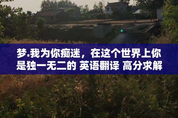 梦.我为你痴迷，在这个世界上你是独一无二的 英语翻译 高分求解