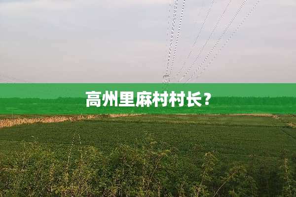 高州里麻村村长？