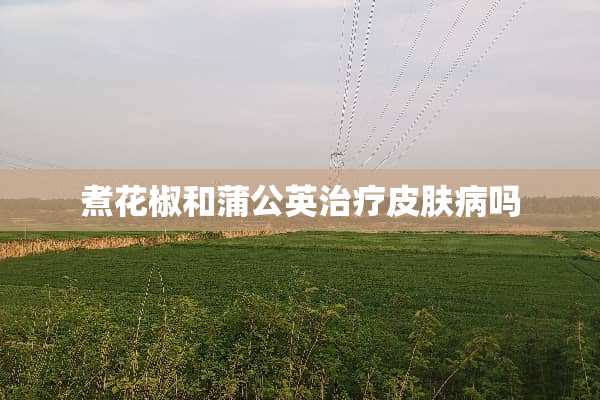 煮花椒和蒲公英治疗皮肤病吗