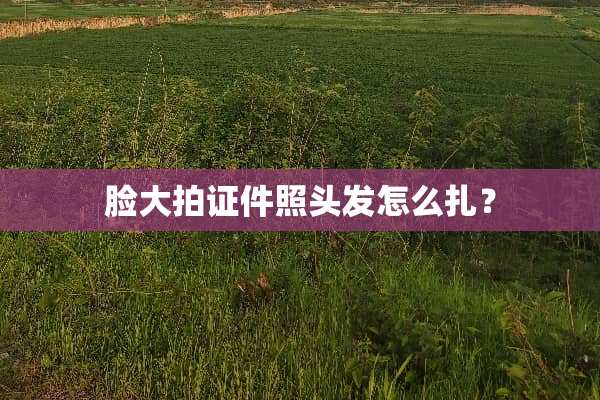 脸大拍证件照头发怎么扎？