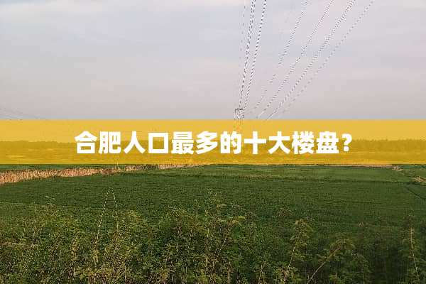 合肥人口最多的十大楼盘？
