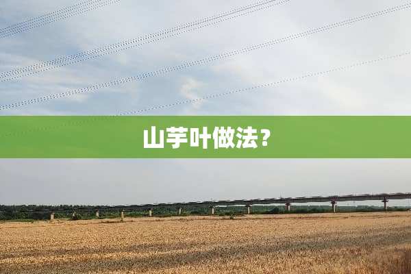 山芋叶做法？