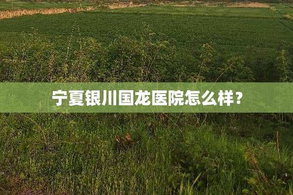 宁夏银川国龙医院怎么样？