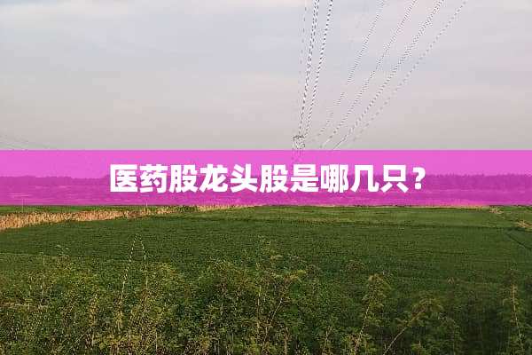 医药股龙头股是哪几只？