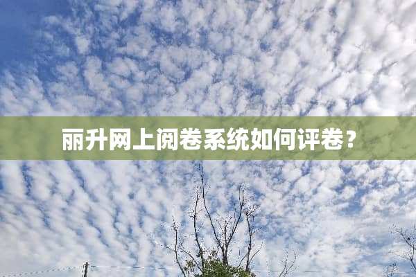 丽升网上阅卷系统如何评卷？