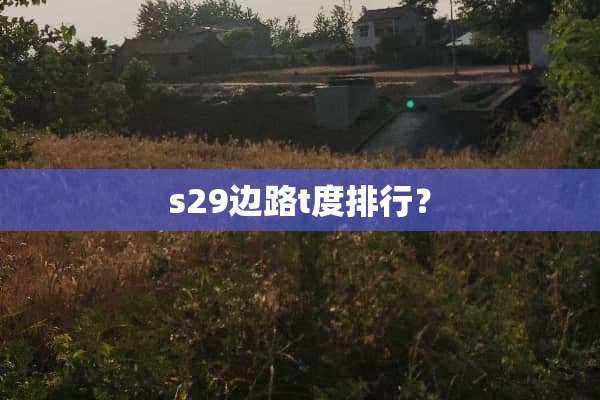 s29边路t度排行？