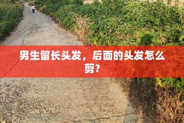 男生留长头发，后面的头发怎么剪？