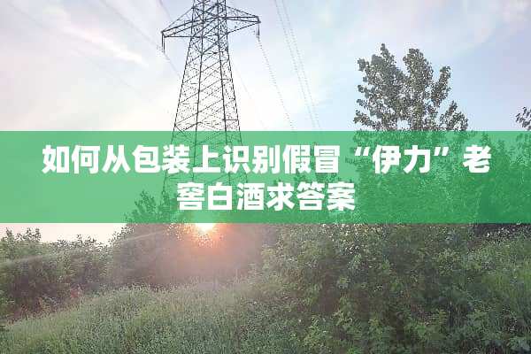 如何从包装上识别假冒“伊力”老窖白酒求答案