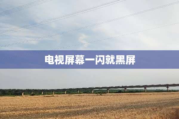 电视屏幕一闪就黑屏
