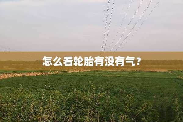 怎么看轮胎有没有气？