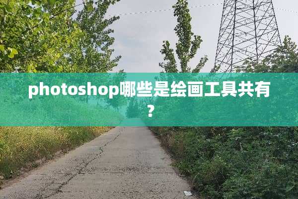 photoshop哪些是绘画工具共有？