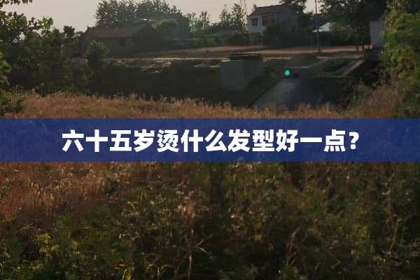 六十五岁烫什么发型好一点？