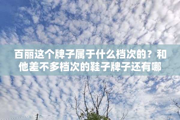 百丽这个牌子属于什么档次的？和他差不多档次的鞋子牌子还有哪些？