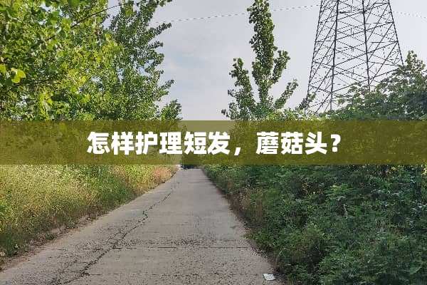 怎样护理短发，蘑菇头？