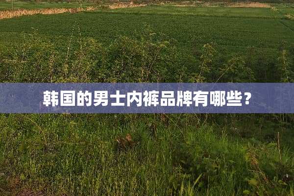 韩国的男士**品牌有哪些？