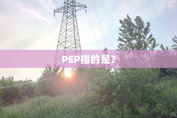 PEP指的是？