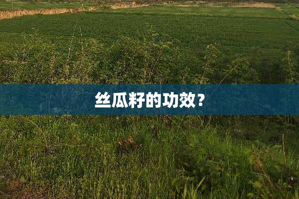 丝瓜籽的功效？