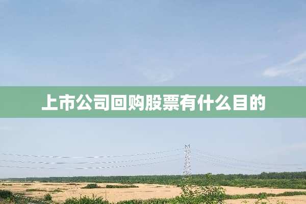 上市公司回购股票有什么目的