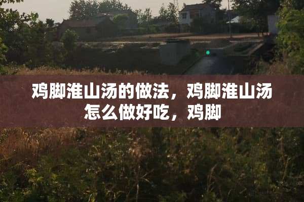 鸡脚淮山汤的做法，鸡脚淮山汤怎么做好吃，鸡脚