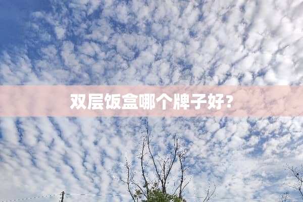 双层饭盒哪个牌子好？