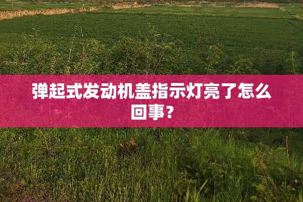 弹起式发动机盖指示灯亮了怎么回事？