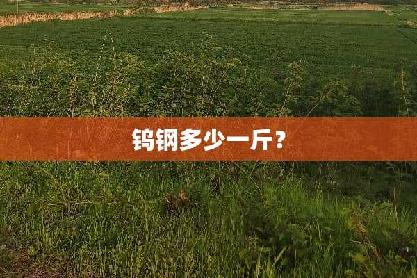 钨钢多少一斤？