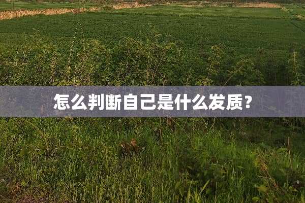 怎么判断自己是什么发质？