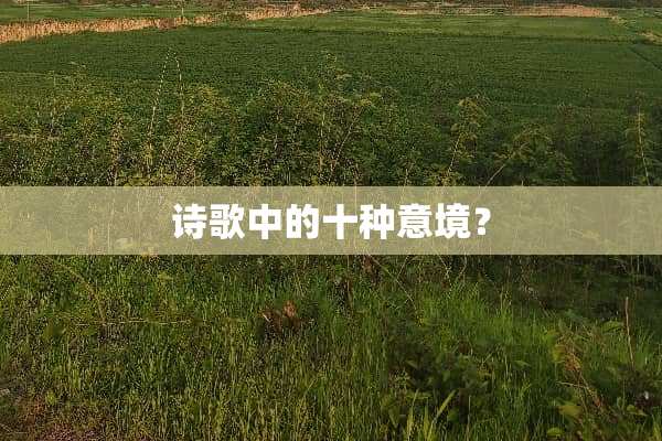 诗歌中的十种意境？