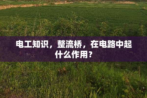 电工知识，整流桥，在电路中起什么作用？