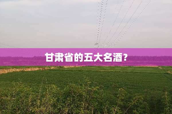 甘肃省的五大名酒？
