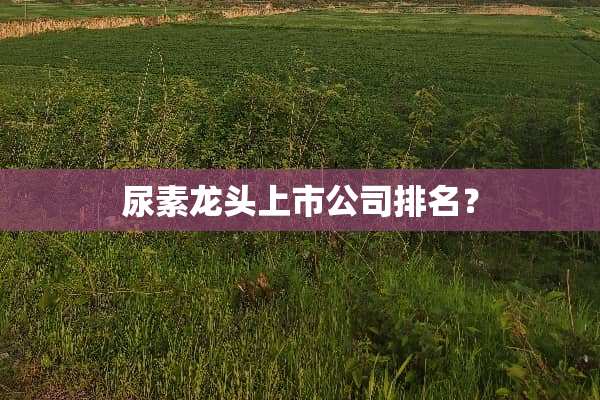 尿素龙头上市公司排名？