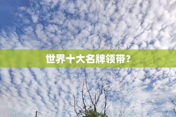 世界十大名牌领带？