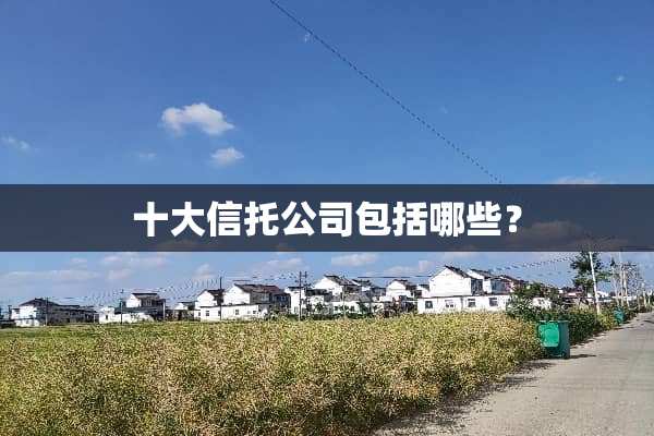 十大信托公司包括哪些？