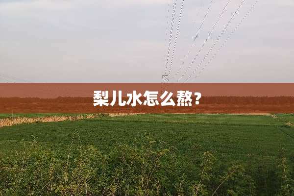梨儿水怎么熬？
